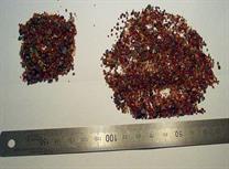 Zircons from Tubbarubba godfield, Mornington Peninsula, Victoria