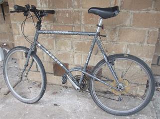 Elderly Citizen upgrade of old Dodson frame.No drops, no clips.