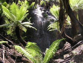 Waterfall above the upper Palmerston adit, Crooked River goldfield, Victoria