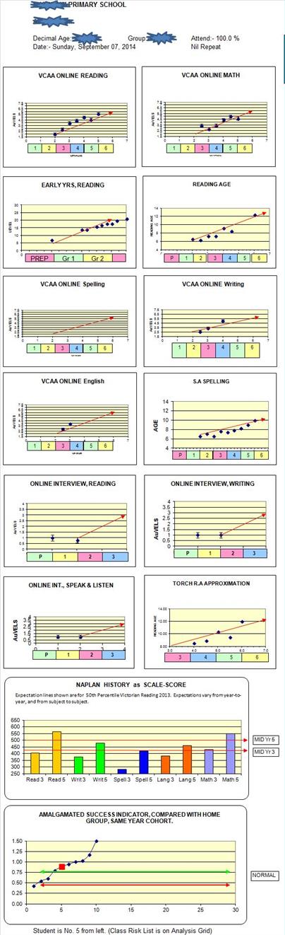 Excel based children's progress tool accumulates all testing as child progresses through grades