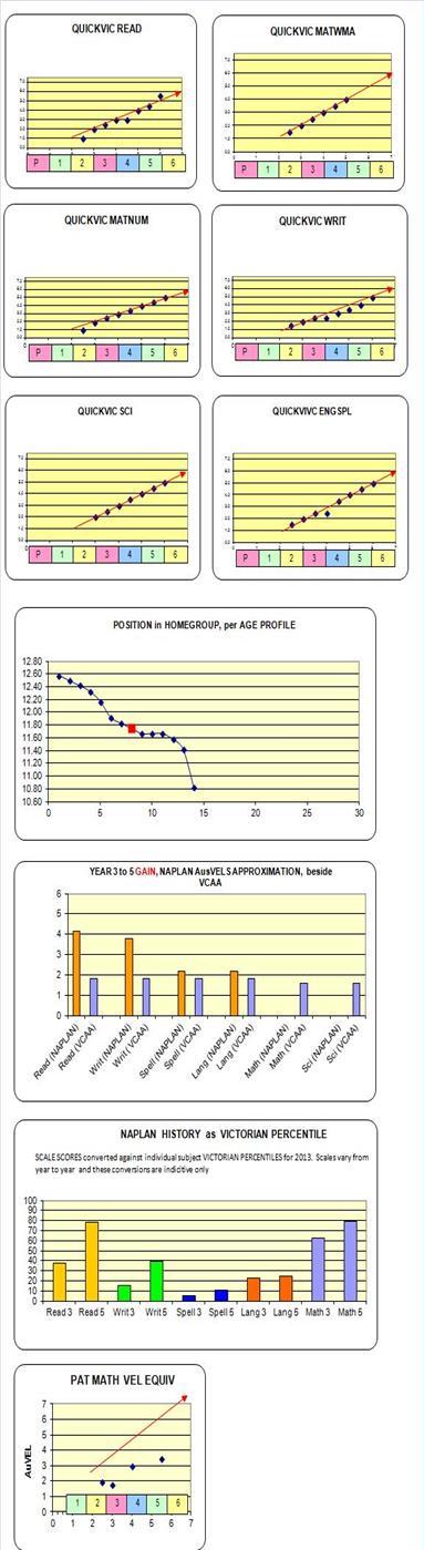 Excel based children's progress tool accumulates all testing as child progresses through grades