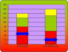 Workbook gives instructions to produce this unique Excel graphical display